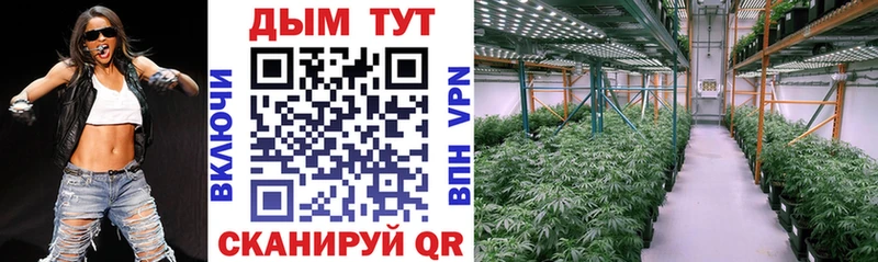 Конопля гибрид  Новоаннинский 